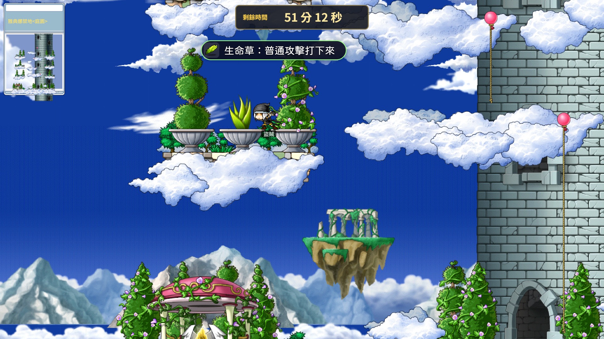生命草