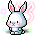 冬天兔子
