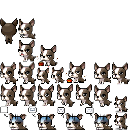 波士頓犬動作圖集
