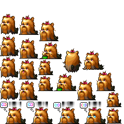約克夏犬動作圖集