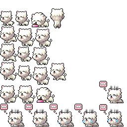 西高地白犬動作圖集