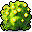 黃花束