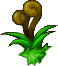 魔法森林高山植物