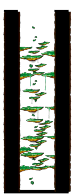 北部森林訓練場Ⅴ