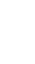 闪亮之石