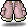 粉紅冒險褲